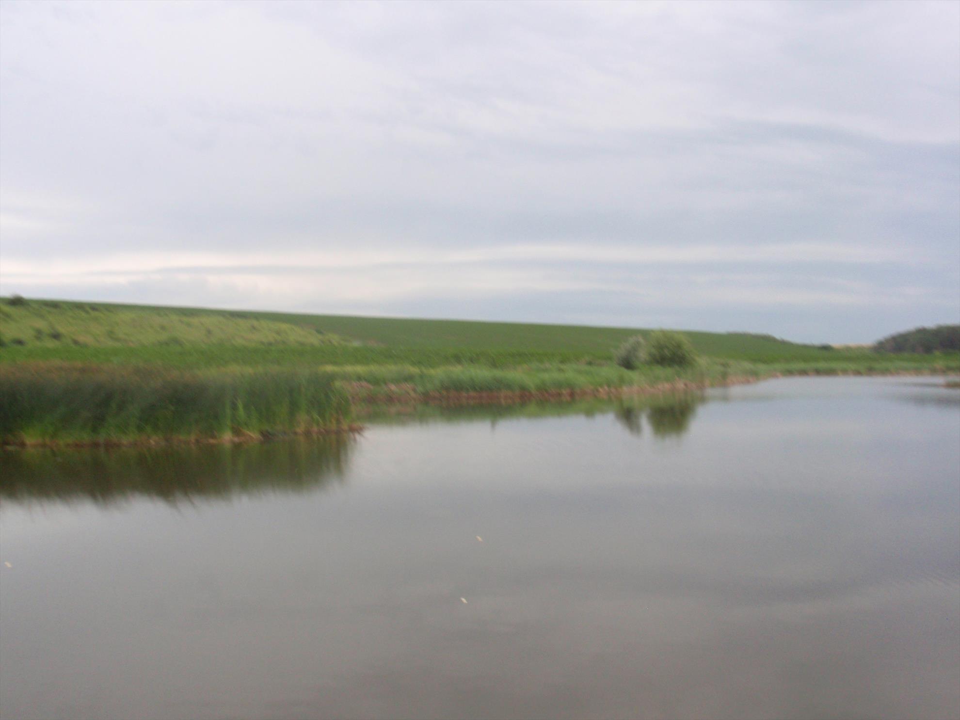 Din viata noastra... - p6110016.JPG